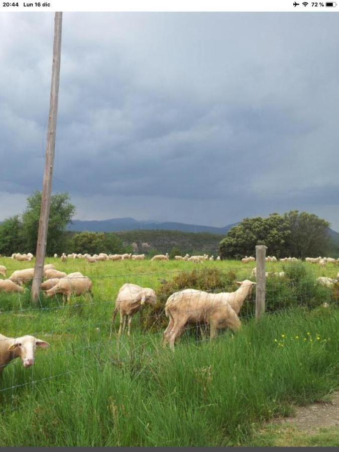 דירות El Pueyo de Araguás Preciosas Vistas A La Montana, Luminoso Y Acogedor מראה חיצוני תמונה